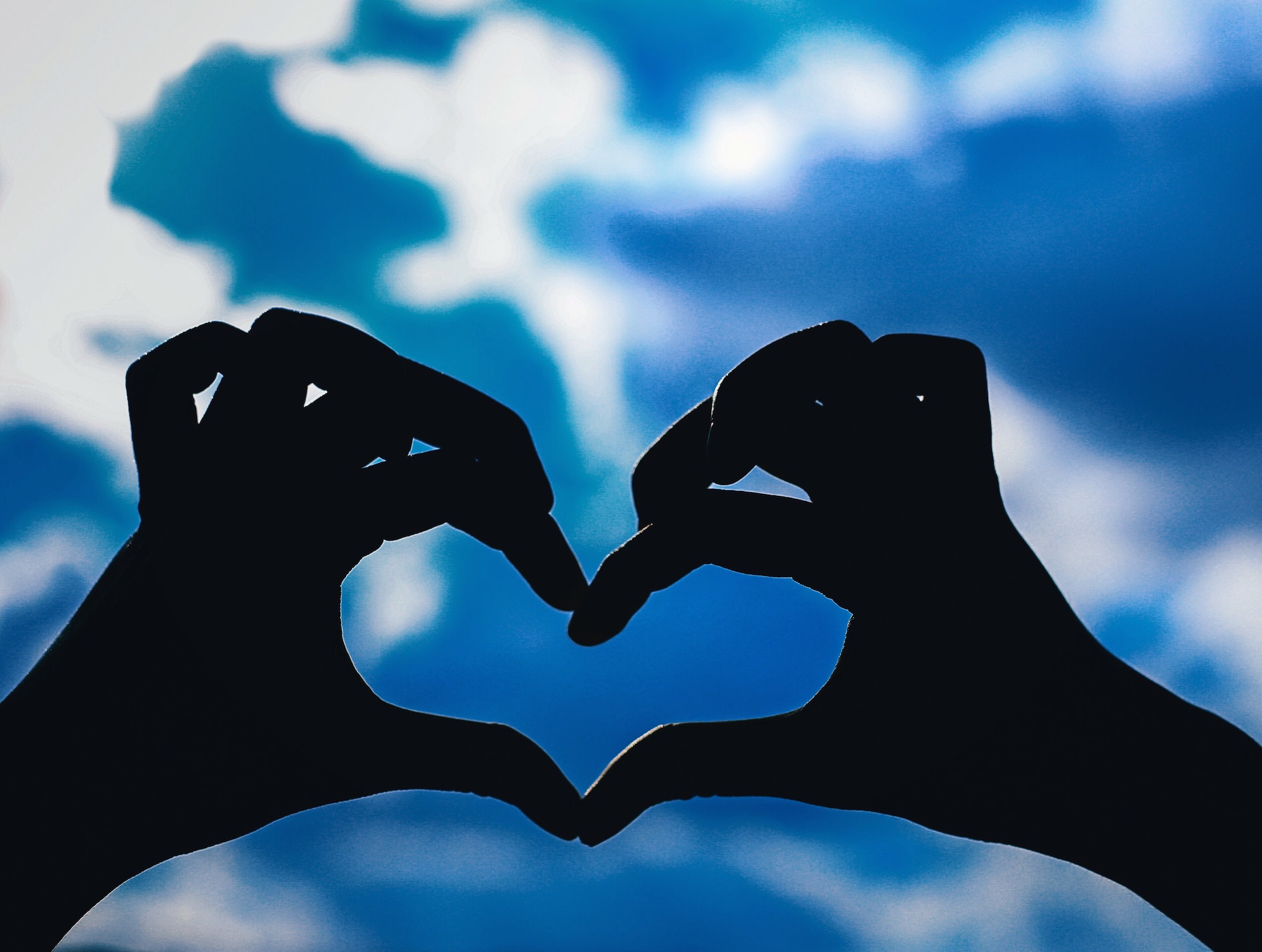 Why We Love Some Companies and Not Others