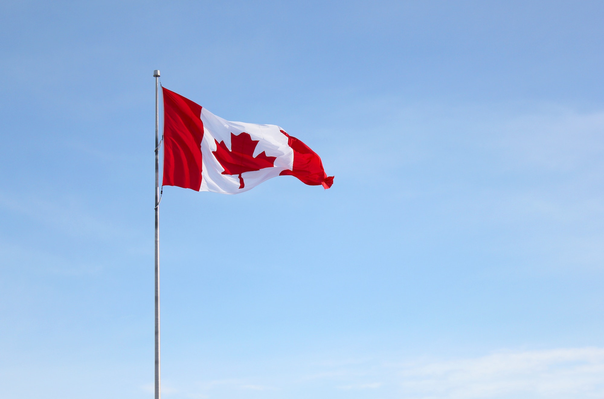 Why Ryan Reynolds is the Canadian King of Branding: A Guide to Marketing Mastery, or How to Sell Used Cars Like a Pro
